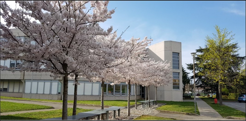 photo-iut photo de l'IUT de Valence dans la Drôme