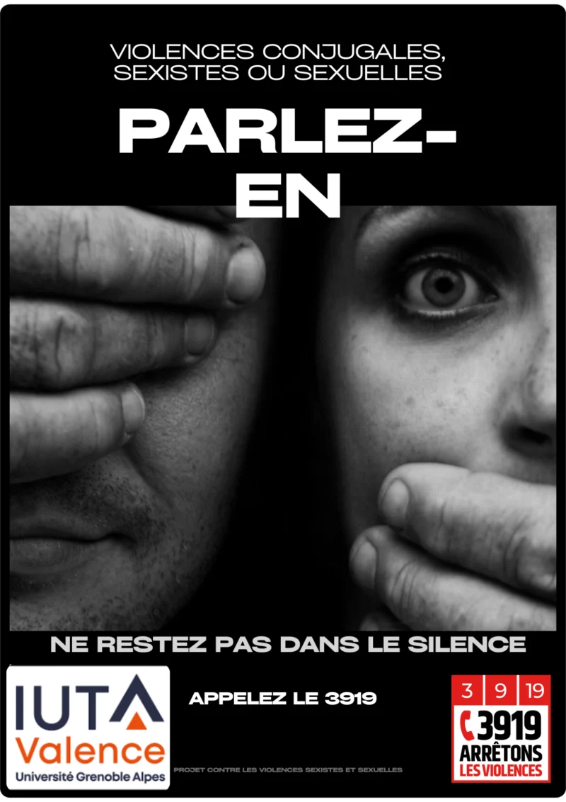 Affiche réalisée par des étudiants de l'IUT de Valence dans le cadre du conconrs pitches RSE 2026 le but était de mettre en lumière la sensibilisation aux VSS